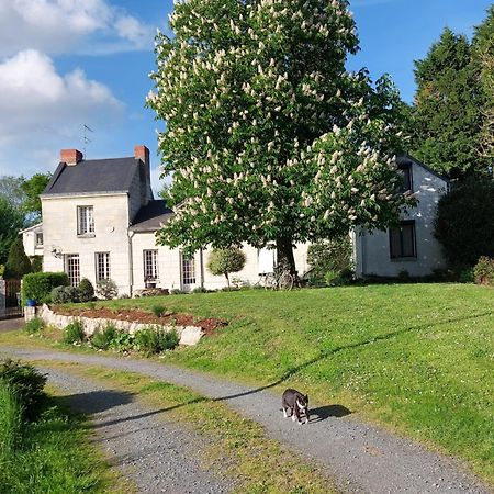 Chambres D'Hotes De L'Ile Du Saule โซมูร์ ภายนอก รูปภาพ