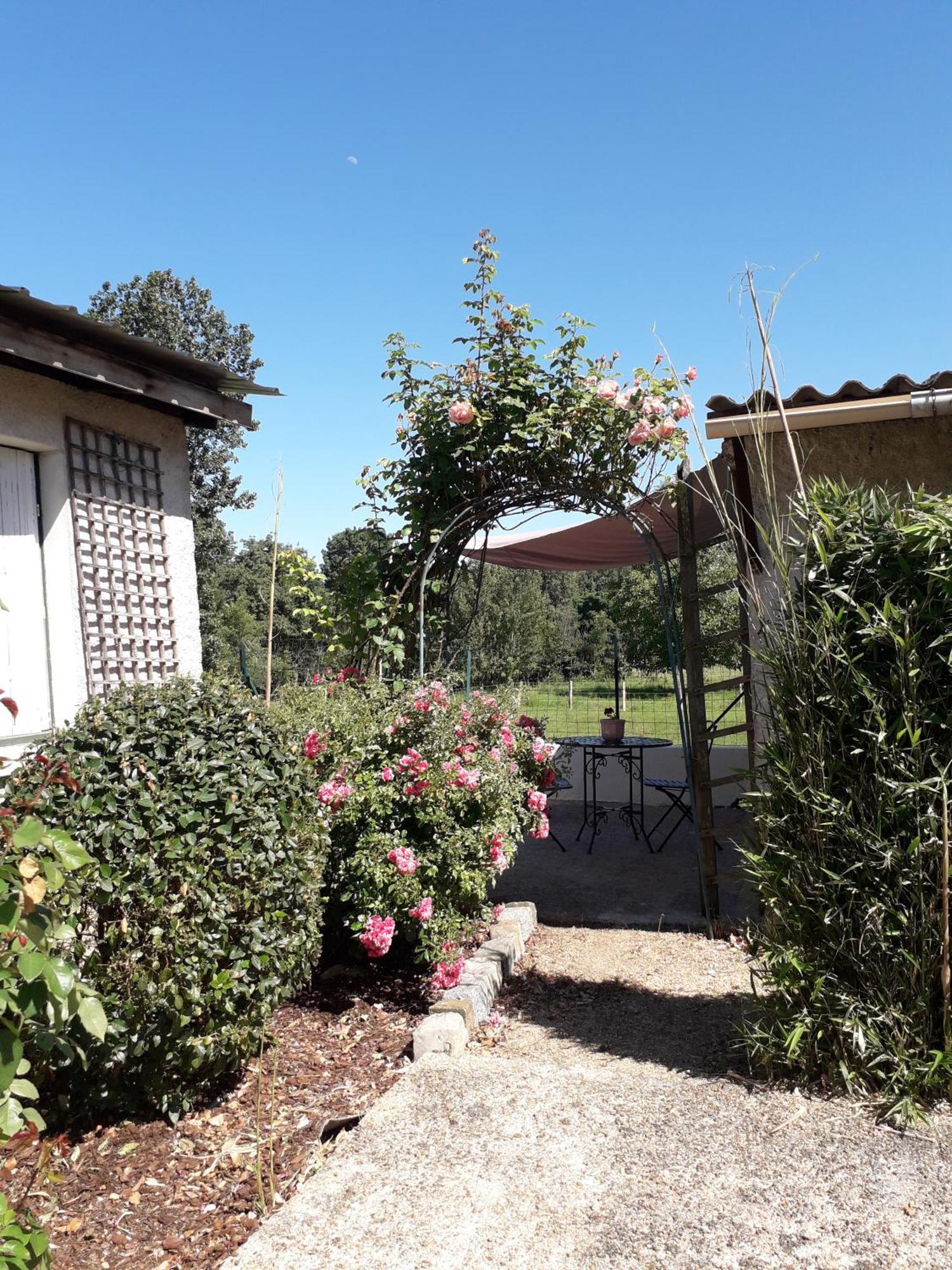 Chambres D'Hotes De L'Ile Du Saule โซมูร์ ภายนอก รูปภาพ