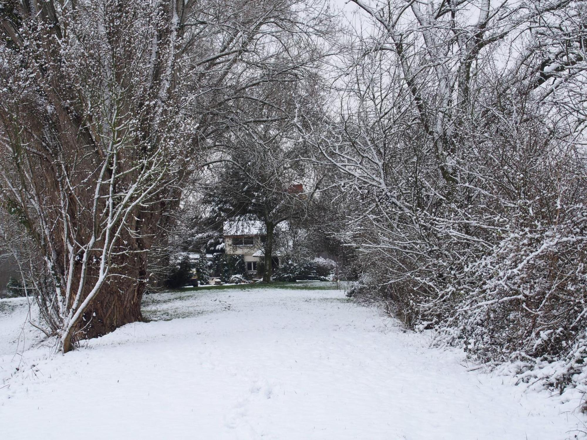 Chambres D'Hotes De L'Ile Du Saule โซมูร์ ภายนอก รูปภาพ