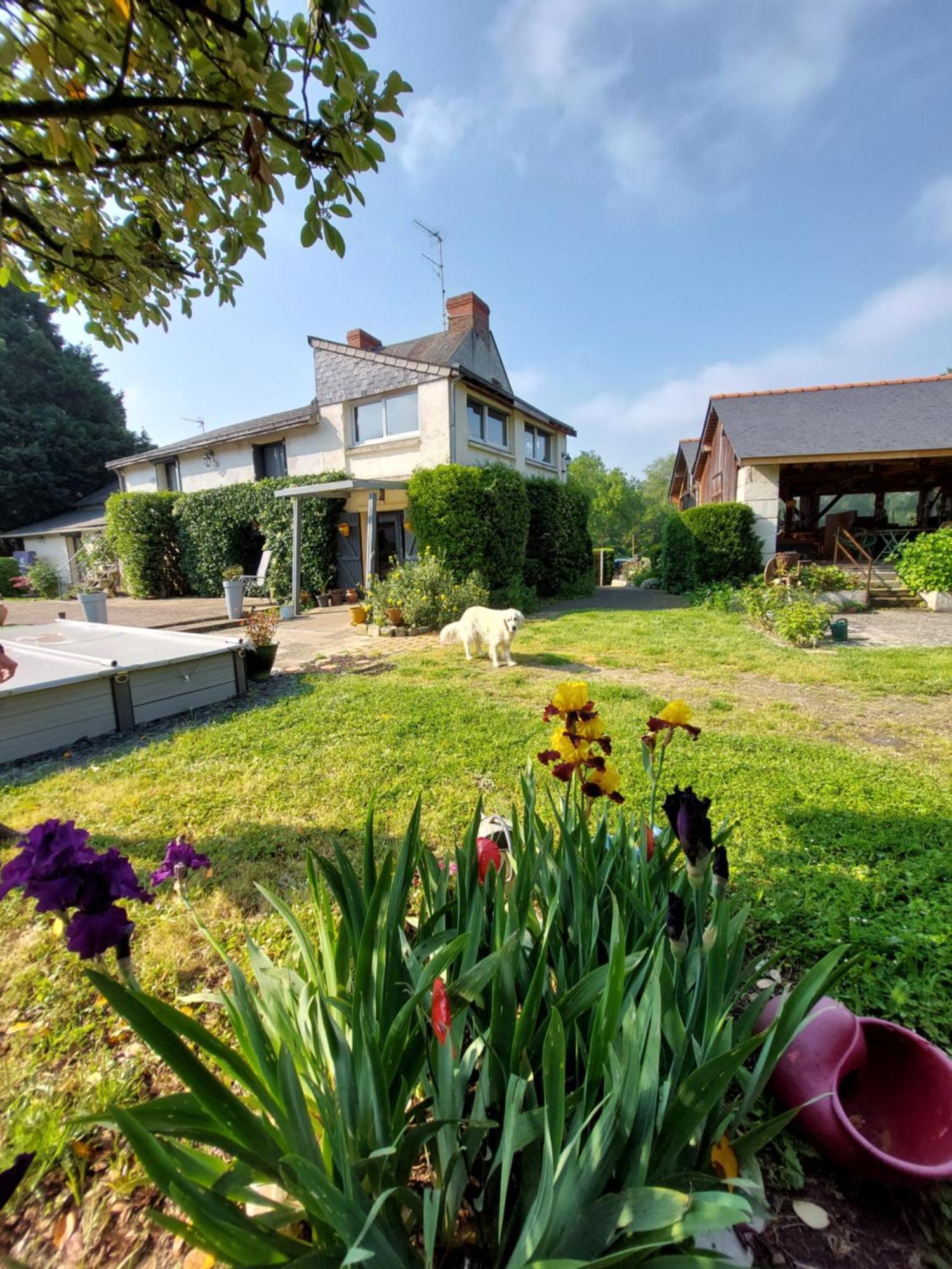 Chambres D'Hotes De L'Ile Du Saule โซมูร์ ภายนอก รูปภาพ